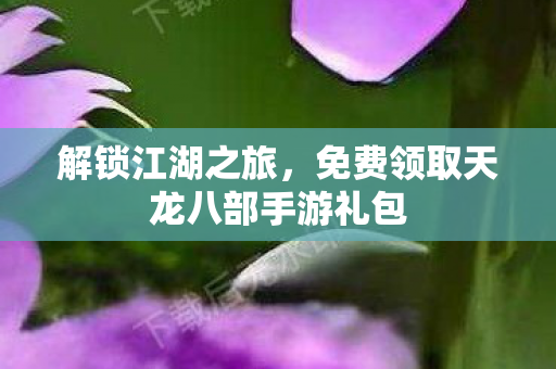 免费领取天龙八部手游礼包图片