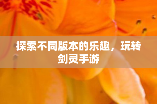 探索不同版本的乐趣,玩转剑灵手游 探索不同版本的乐趣,玩转剑灵手游