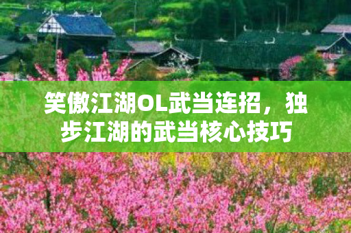 独步江湖的武当核心技巧图片