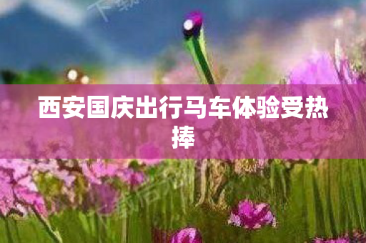 西安国庆出行马车体验受热捧图片