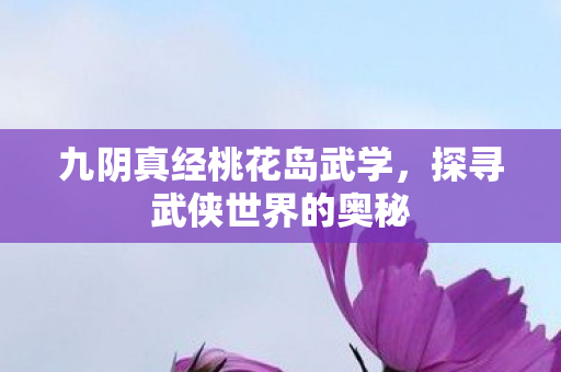 九阴真经桃花岛武学图片