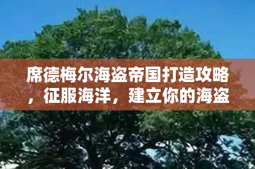 席德梅尔海盗帝国打造攻略图片