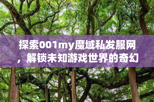 探索001my魔域私发服网图片