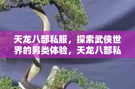 天龙八部私服，探索武侠世界的另类体验，天龙八部私服，探索武侠世界的另类体验