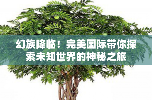 完美国际带你探索未知世界的神秘之旅图片