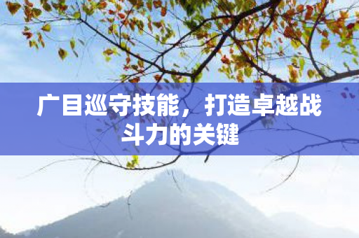 打造卓越战斗力的关键图片