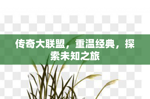探索未知之旅图片