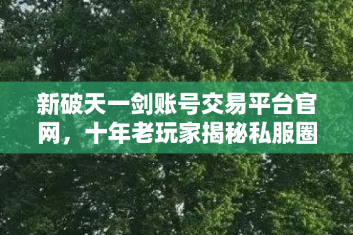 新破天一剑账号交易平台官网，十年老玩家揭秘私服圈最新动态与避坑指南