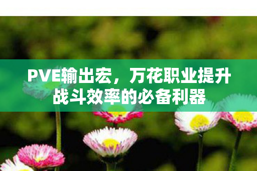 万花职业提升战斗效率的必备利器图片
