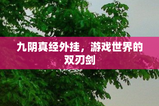 游戏世界的双刃剑图片