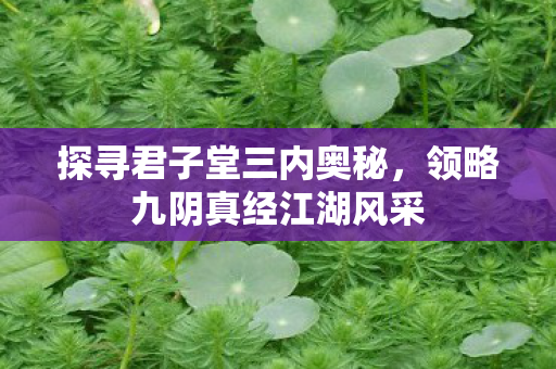 领略九阴真经江湖风采图片
