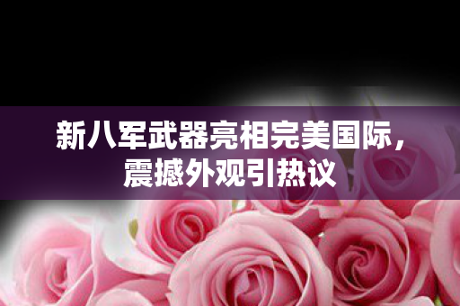 新八军武器亮相完美国际图片