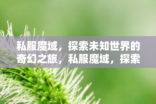 探索未知世界的奇幻冒险之旅图片