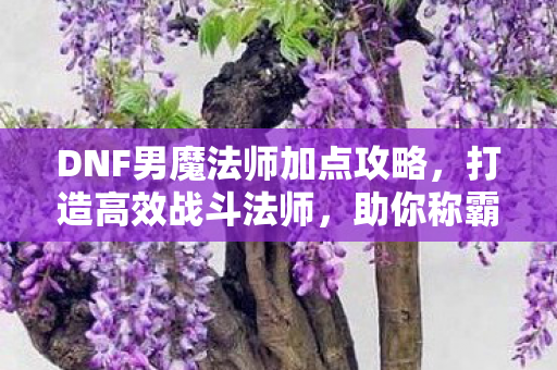 DNF男魔法师加点攻略图片