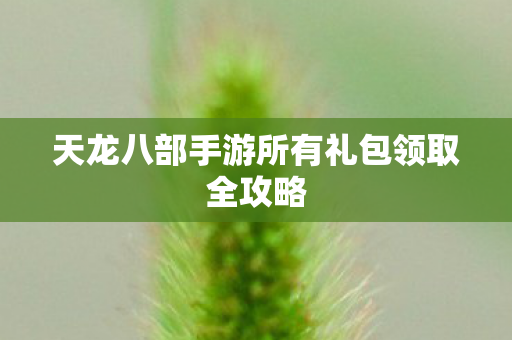 天龙八部手游所有礼包领取全攻略图片