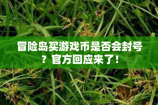 冒险岛买游戏币是否会封号图片