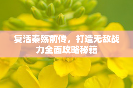 打造无敌战力全面攻略秘籍图片