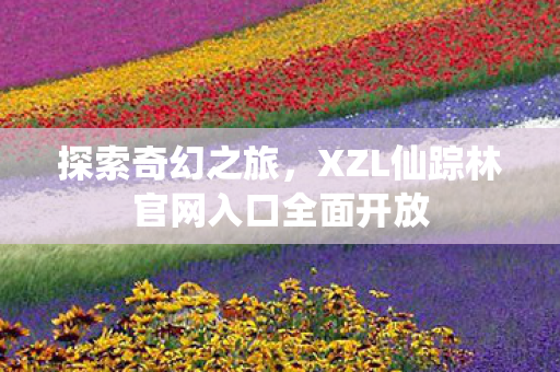 XZL仙踪林官网入口全面开放图片
