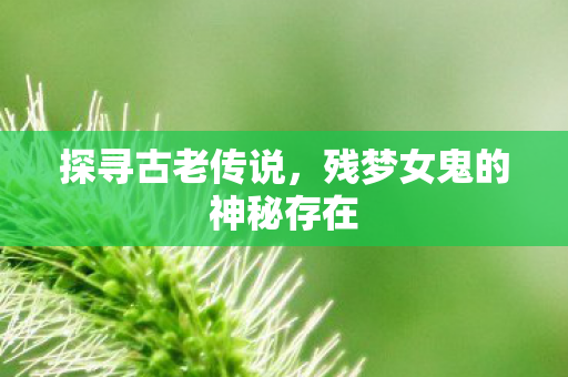 残梦女鬼的神秘存在图片
