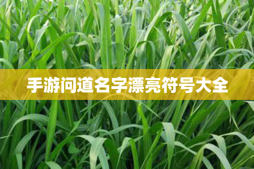 手游问道名字漂亮符号大全图片