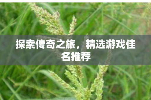 精选游戏佳名推荐图片