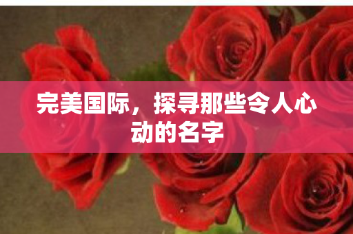 探寻那些令人心动的名字图片