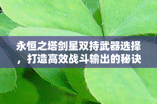 永恒之塔剑星双持武器选择图片