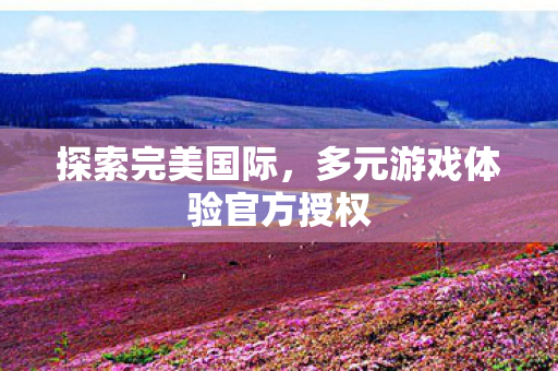 多元游戏体验官方授权图片