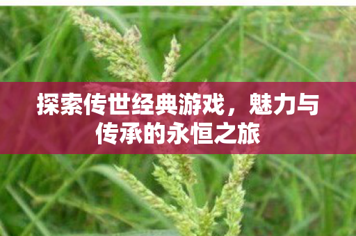 魅力与传承的永恒之旅图片