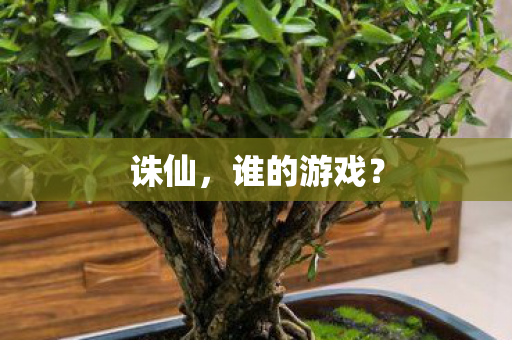 谁的游戏图片