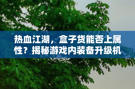 揭秘游戏内装备升级机制图片