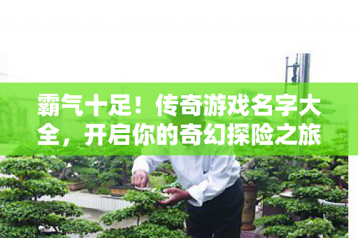 开启你的奇幻探险之旅图片