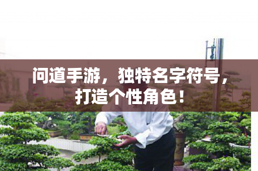 独特名字符号图片