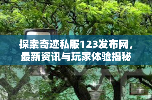 探索奇迹私服123发布网图片