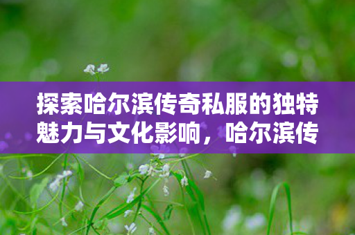 探索哈尔滨传奇私服的独特魅力与文化影响,哈尔滨传奇私服的独特魅力与文化影响 探索哈尔滨传奇私服的独特魅力与文化影响,哈尔滨传奇私服的独特魅力与文化影响