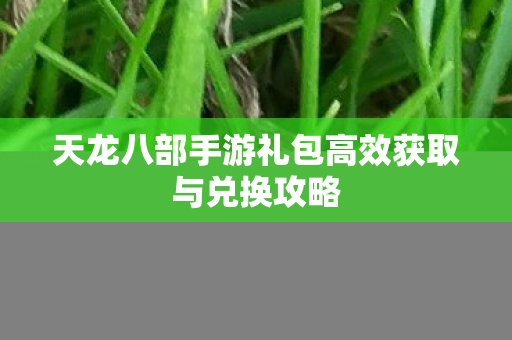 天龙八部手游礼包高效获取与兑换攻略图片
