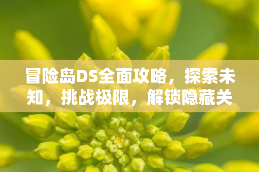 解锁隐藏关卡与神秘宝藏图片