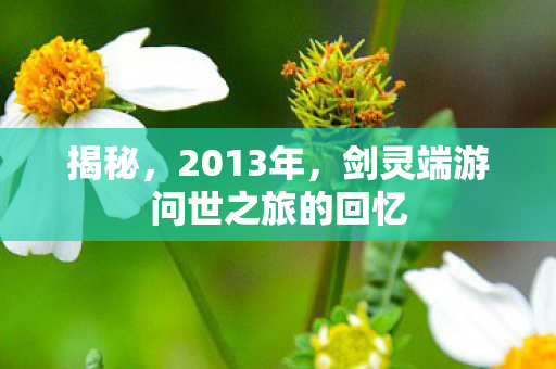 揭秘,2013年,剑灵端游问世之旅的回忆 揭秘,2013年,剑灵端游问世之旅的回忆