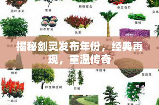 揭秘剑灵发布年份,经典再现,重温传奇 揭秘剑灵发布年份,经典再现,重温传奇