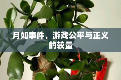 游戏公平与正义的较量图片