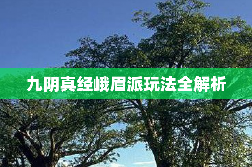 九阴真经峨眉派玩法全解析图片