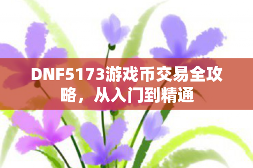 DNF5173游戏币交易全攻略图片