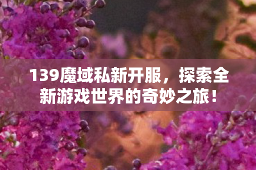 探索全新游戏世界的奇妙之旅图片
