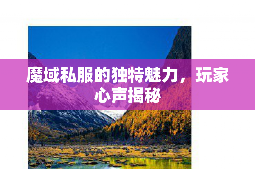 魔域私服的独特魅力图片