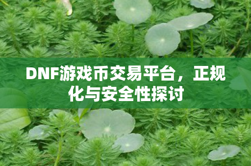 DNF游戏币交易平台,正规化与安全性探讨 DNF游戏币交易平台,正规化与安全性探讨