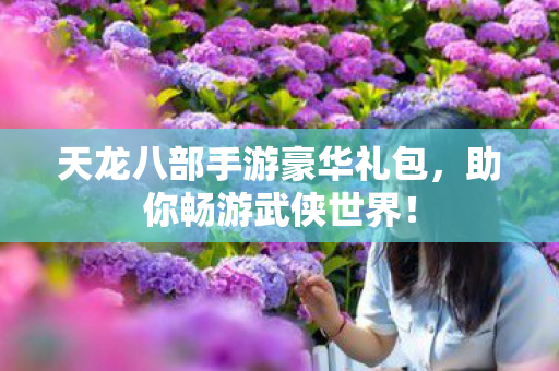 天龙八部手游豪华礼包图片