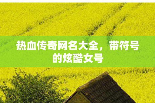 热血传奇网名大全图片