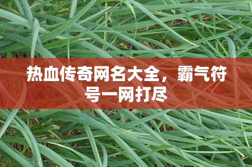 热血传奇网名大全图片