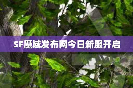 SF魔域发布网今日新服开启图片