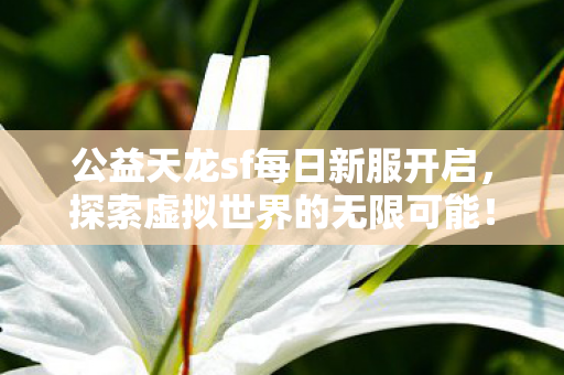 公益天龙sf每日新服开启图片